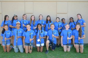 DEHS Clarinet Section 2016 2017