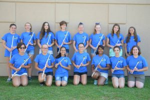DEHS Flute Section 2016 2017